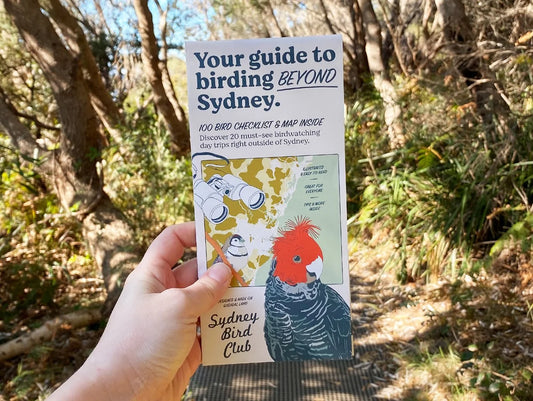 Birding Beyond Sydney Guide (Day Trips)