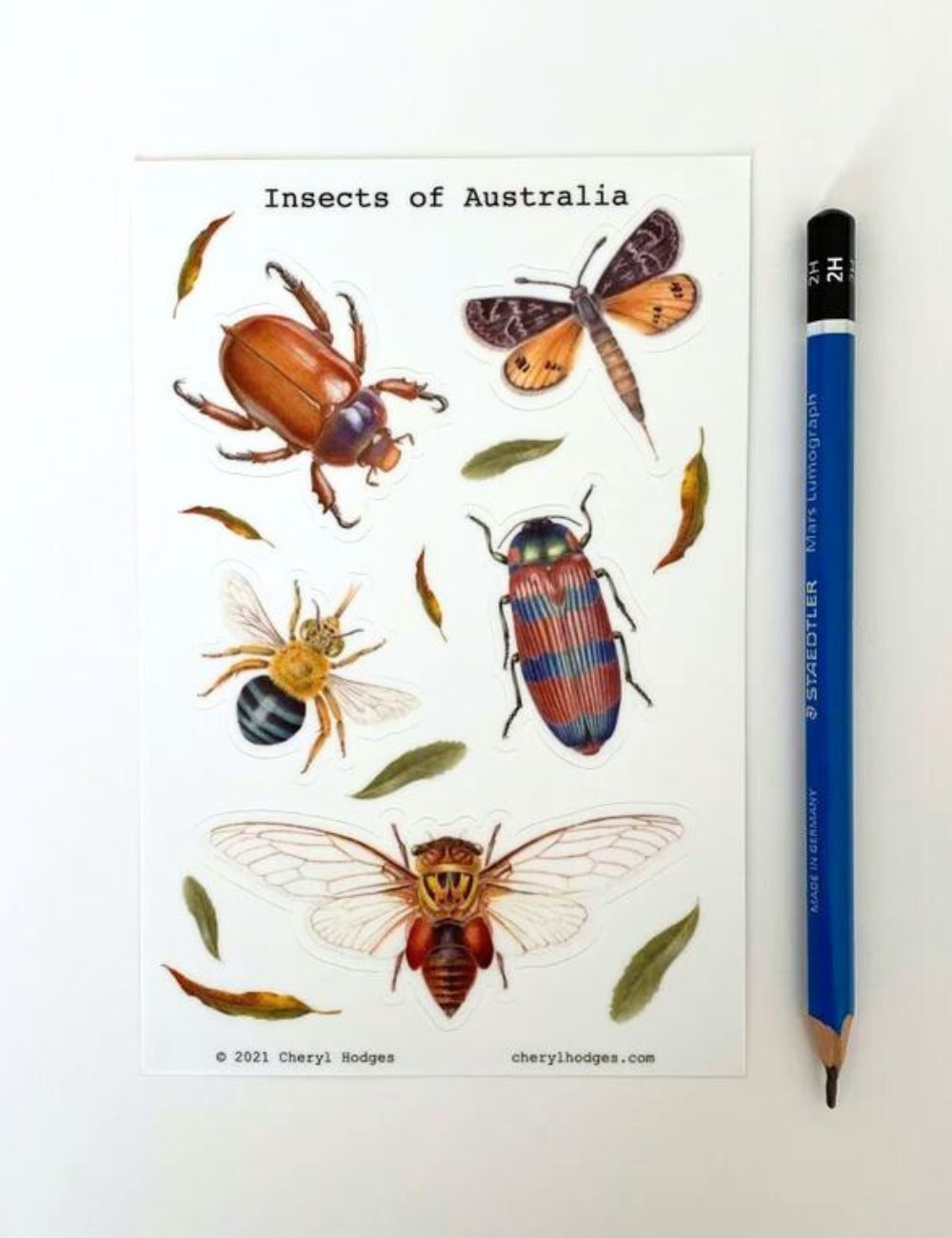 Australian Insects sticker sheet