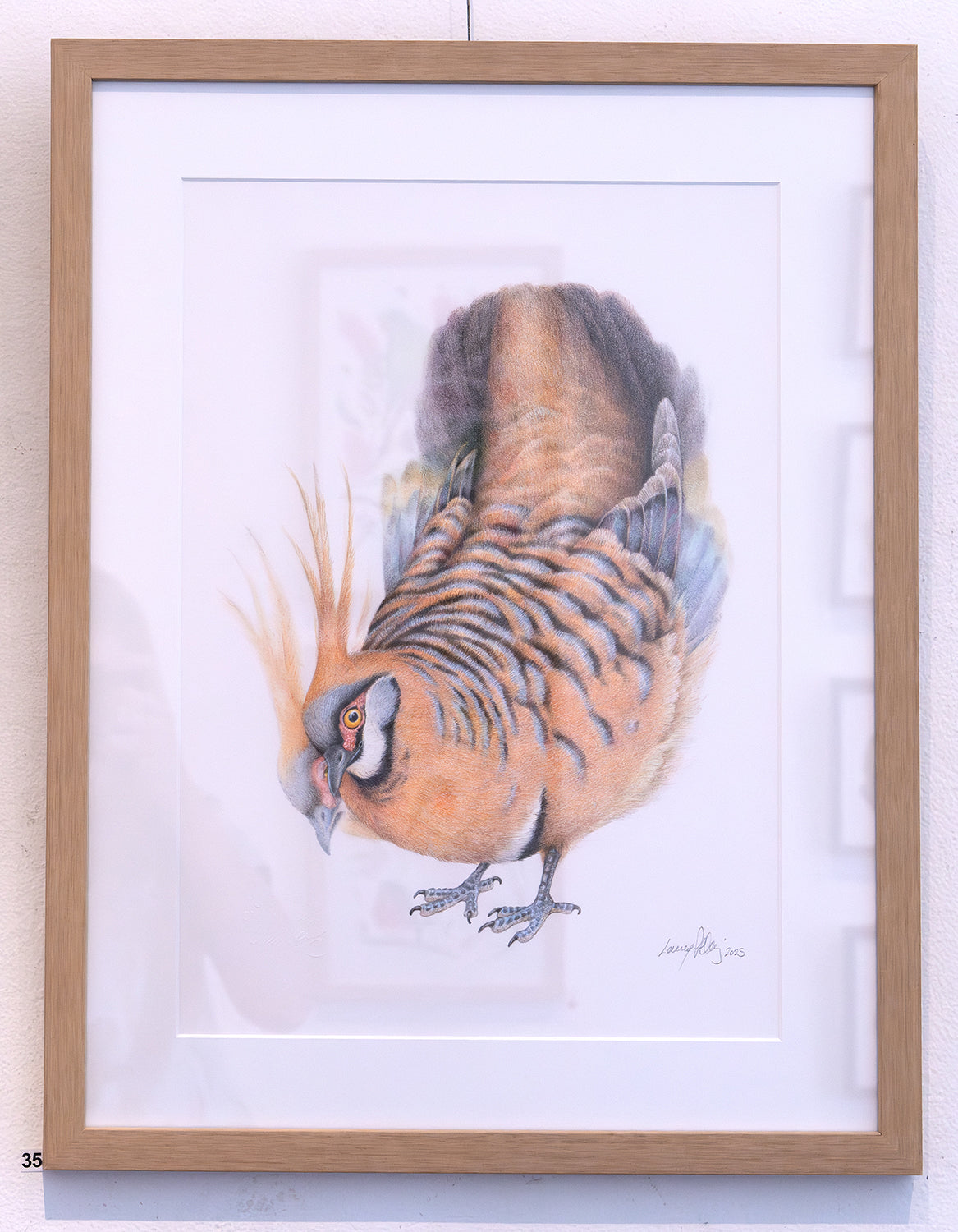 ‘Let’s Dance’ (Spinifex Pigeon) Lenny Pelling