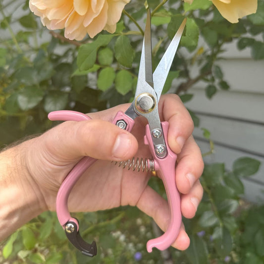 Indoor Plant Snips