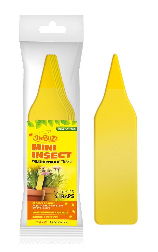 Mini Insect Trap – Wattle & Bee