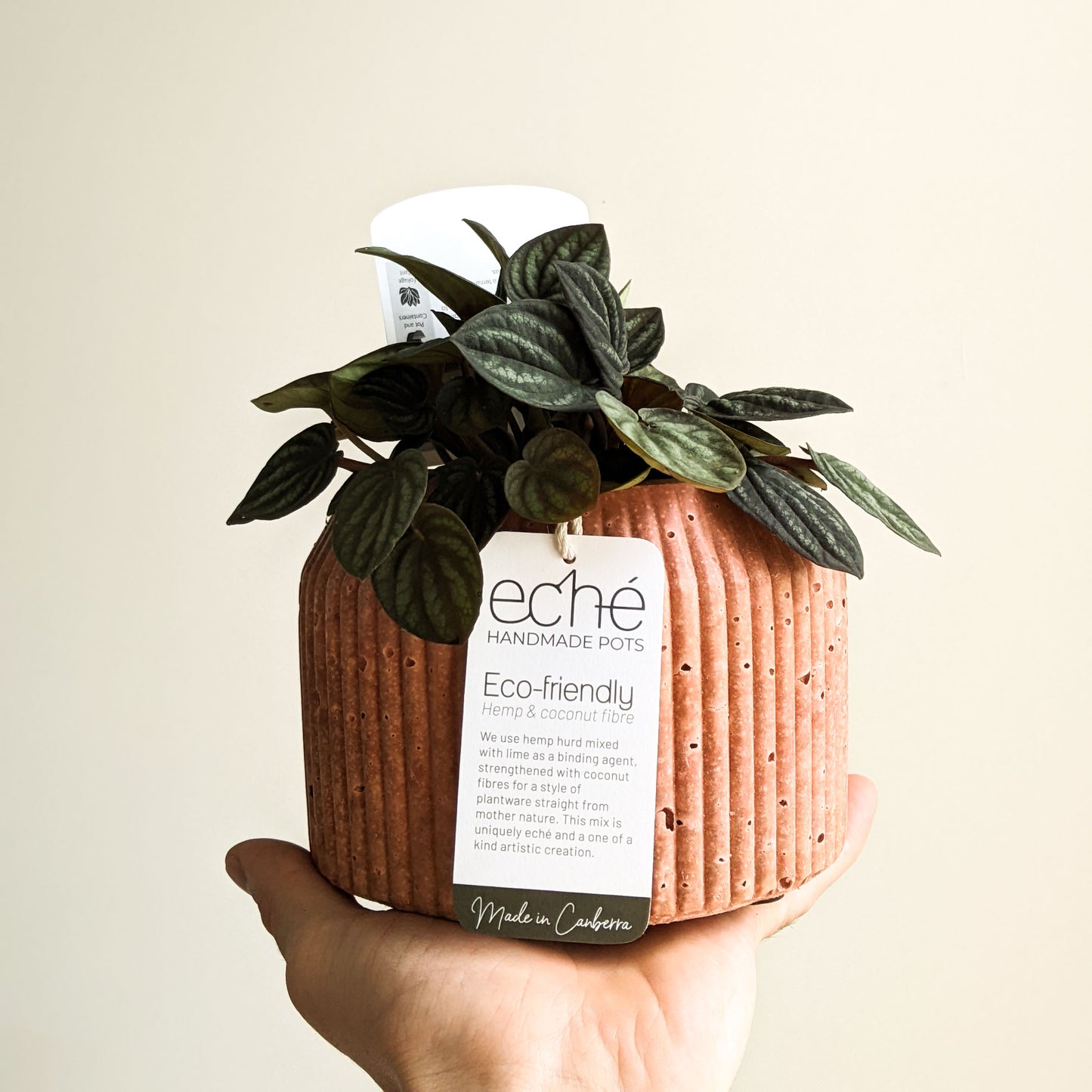 Hemp & Coconut Fibre Rib Pot