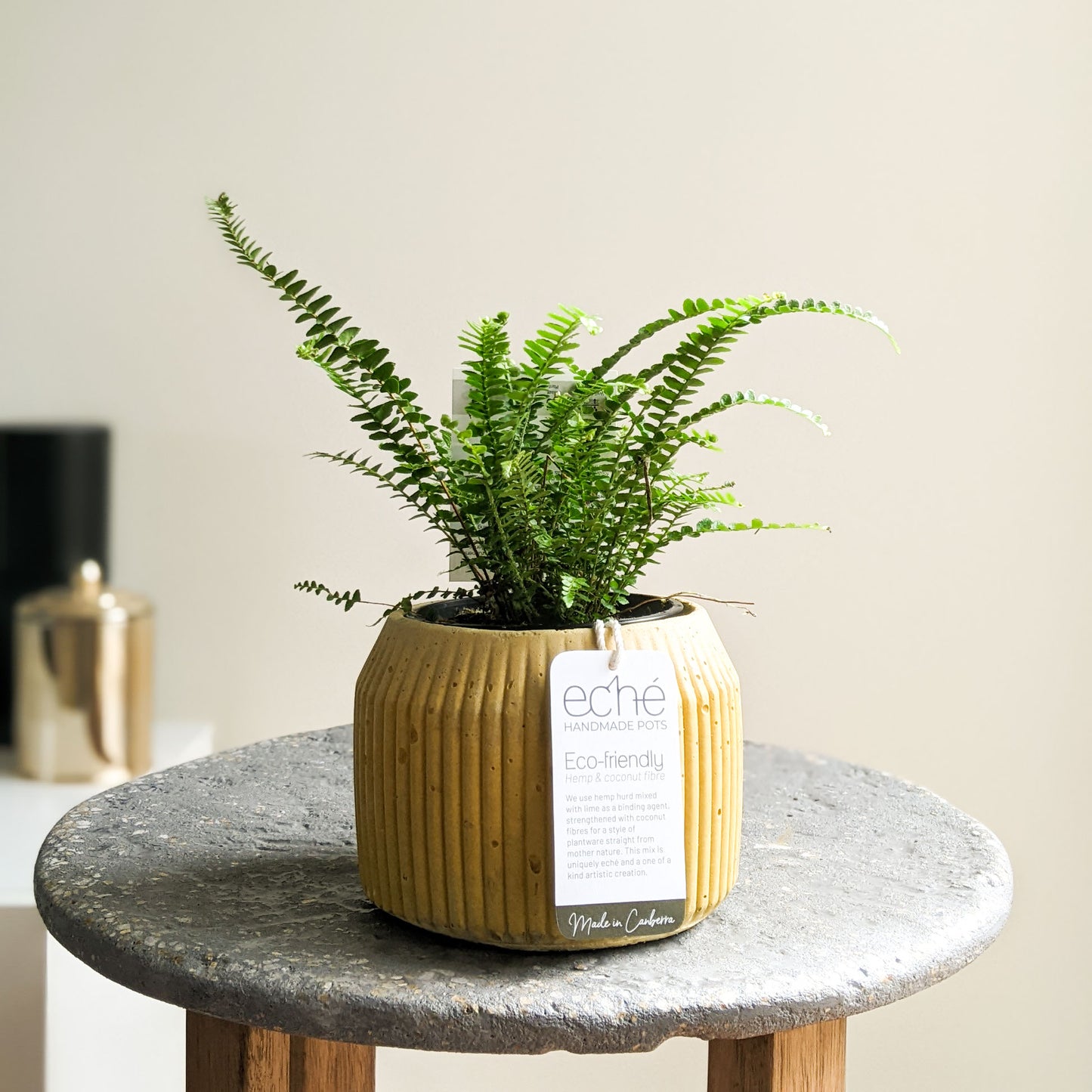 Hemp & Coconut Fibre Rib Pot