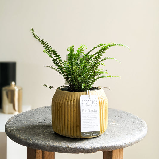 Hemp & Coconut Fibre Rib Pot