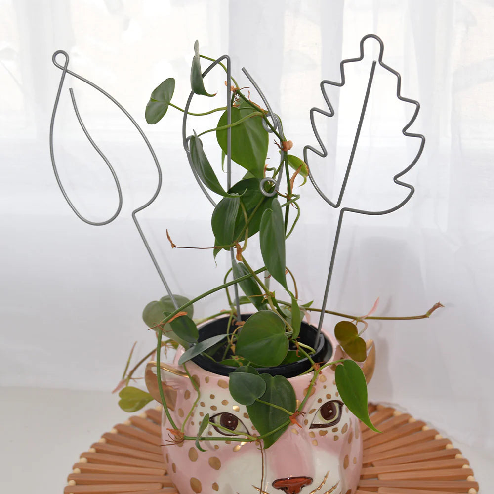 Sprout Plant Stakes - 3 piece