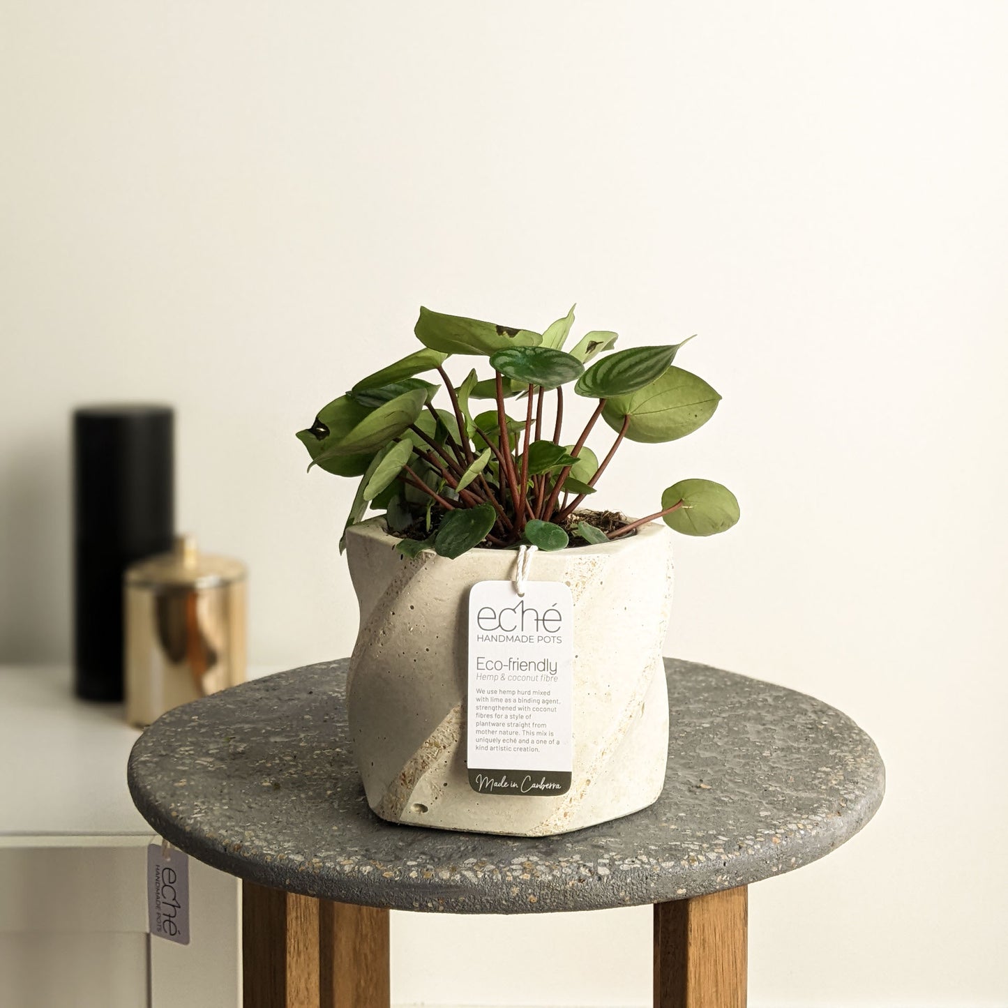 Hemp & Coconut Fibre Swirl Pot