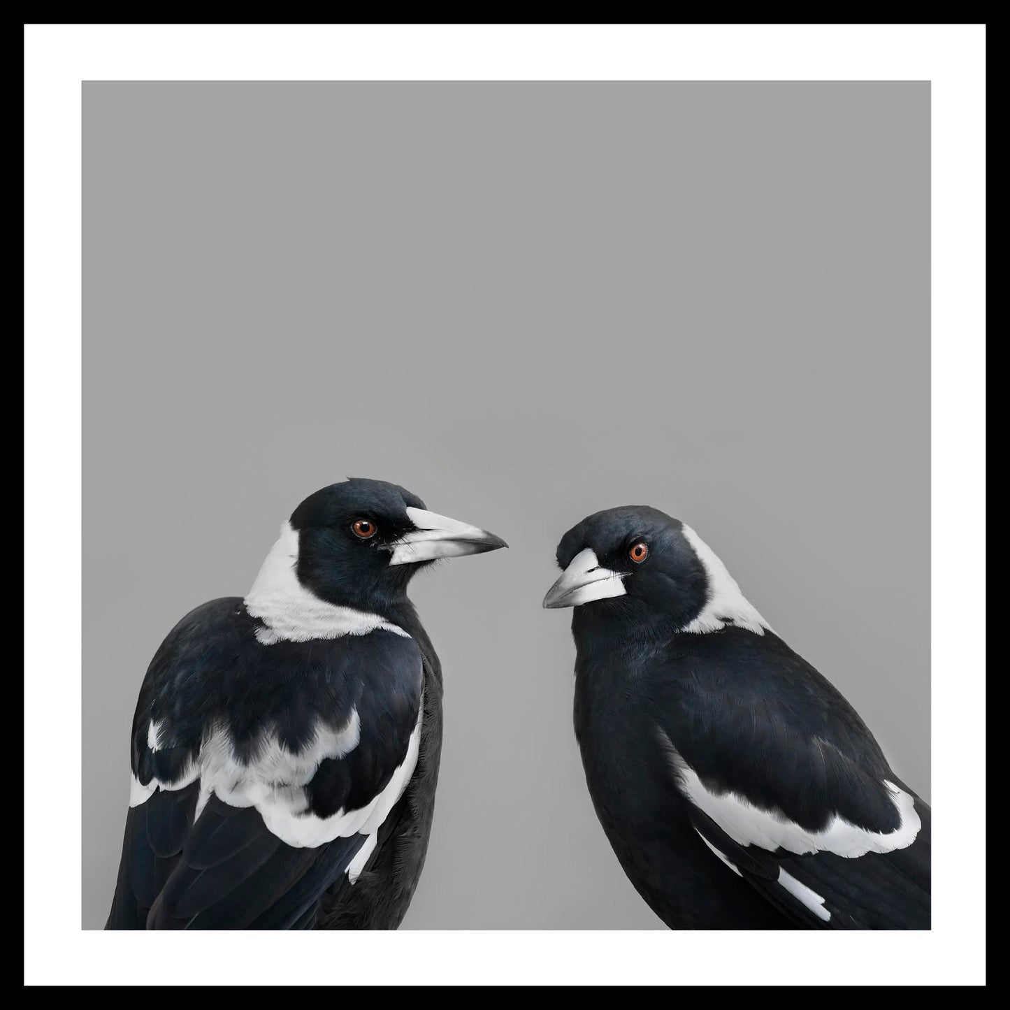 'Mr & Mrs Magpie' Angela Robertson-Buchanan