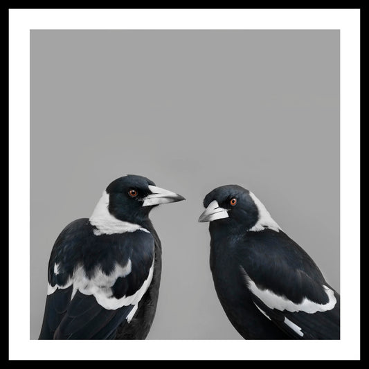 'Mr & Mrs Magpie' Angela Robertson-Buchanan