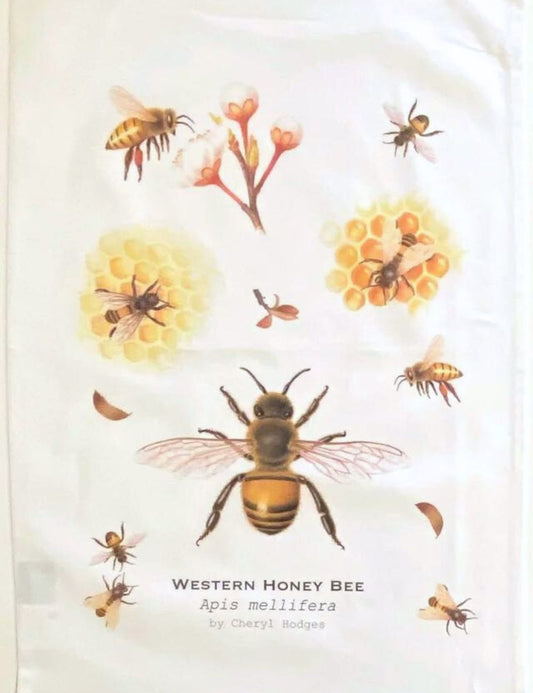 Tea Towel - Western Honey Bee