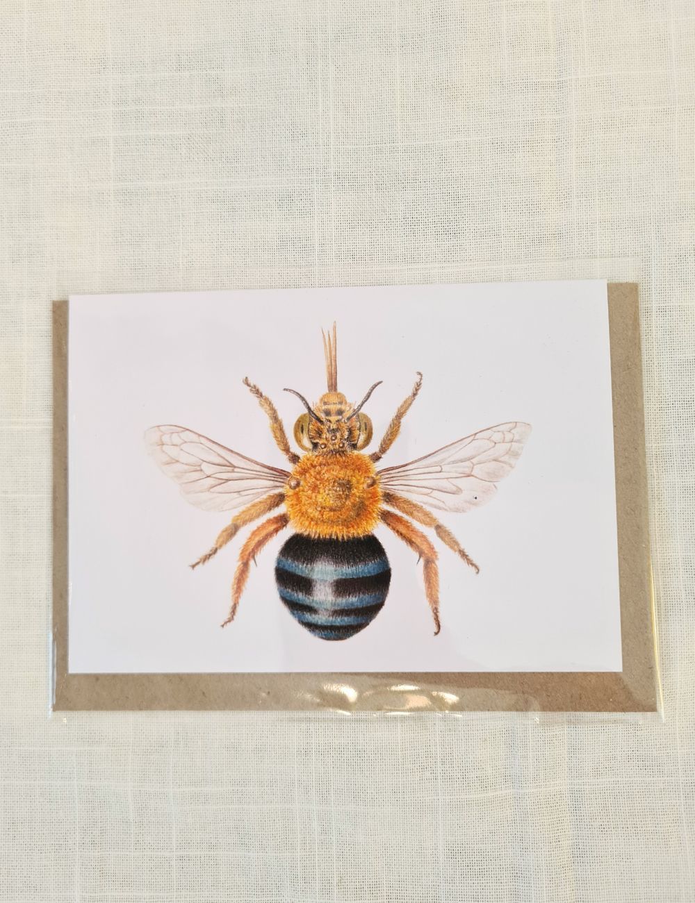 Blue-banded Bee - Greeting Card