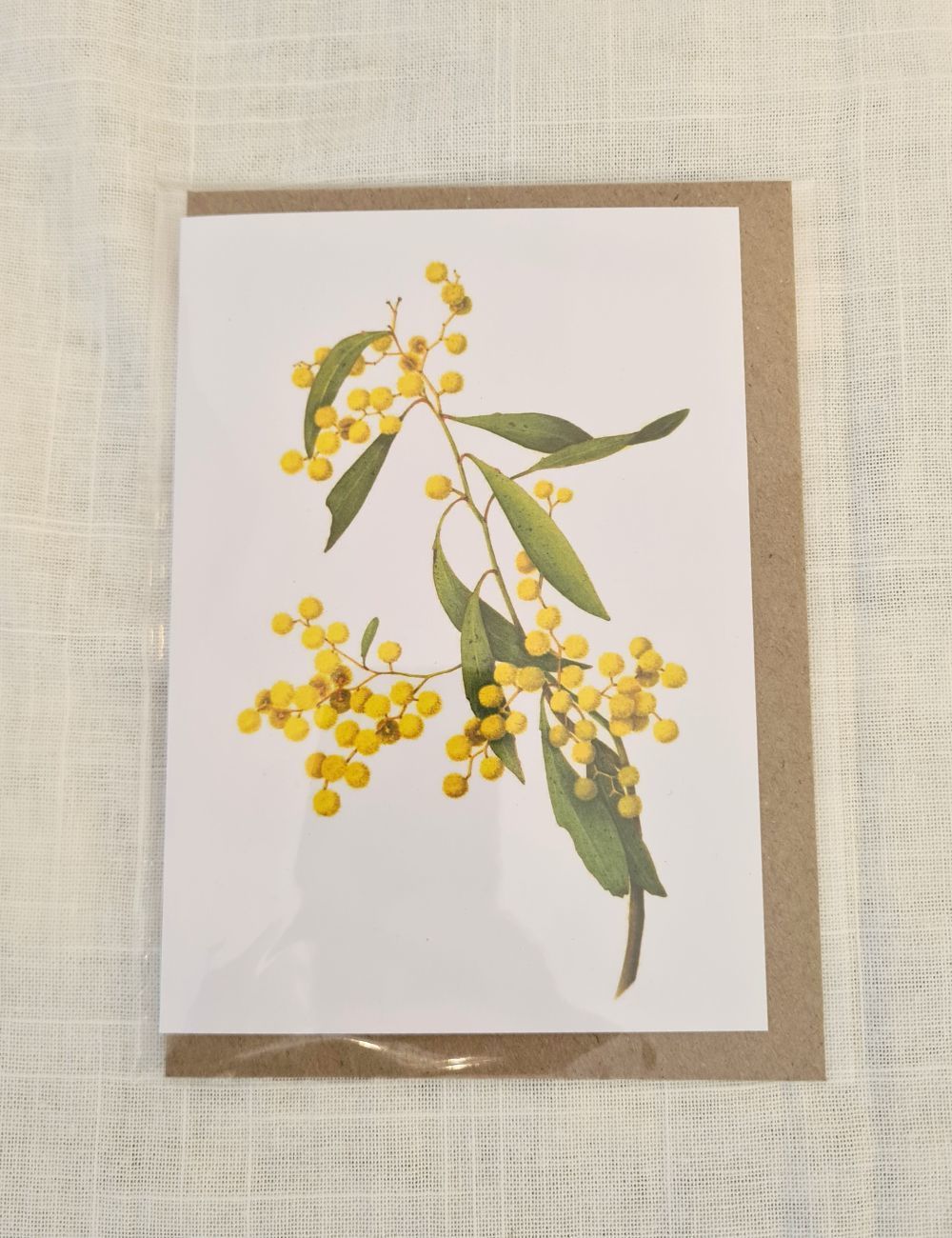 Golden Wattle - Greeting Card