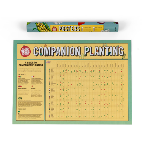 Companion Planting Chart