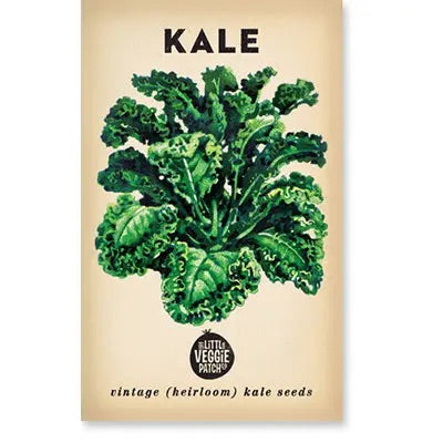 Kale 'Dwarf Blue' Heirloom Seeds