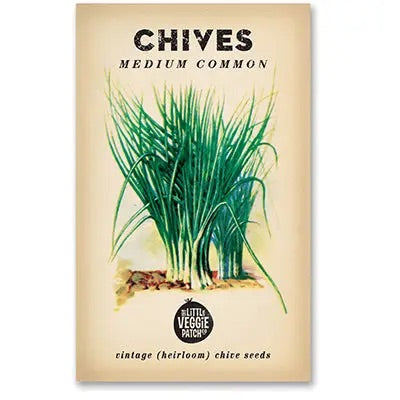 Chives 'Medium Common' Heirloom Seeds