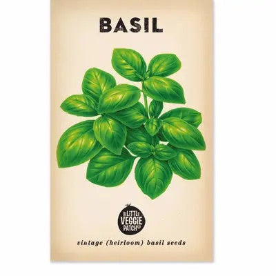 Basil 'Large Sweet Genova' Heirloom Seeds