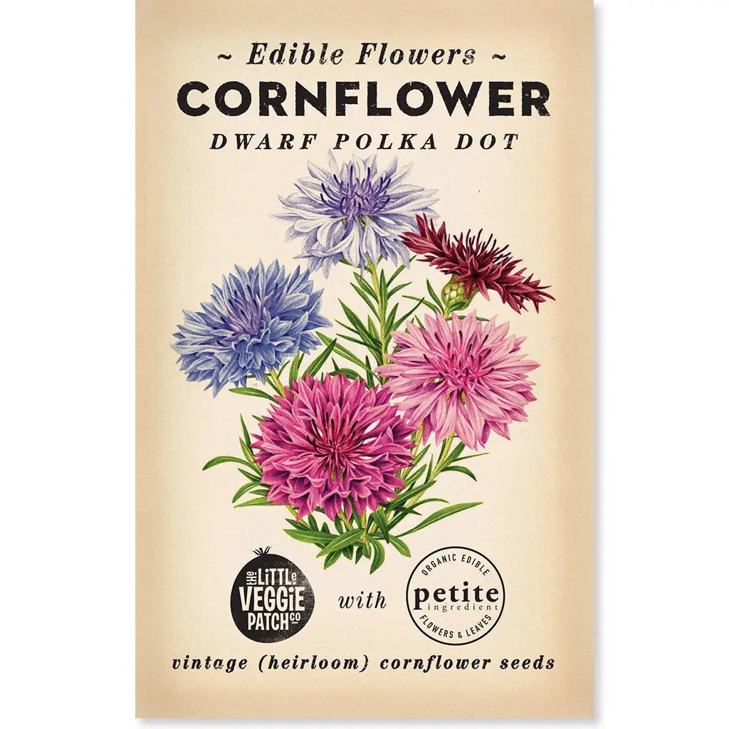 Cornflower "Polka Dot" Heirloom Seeds